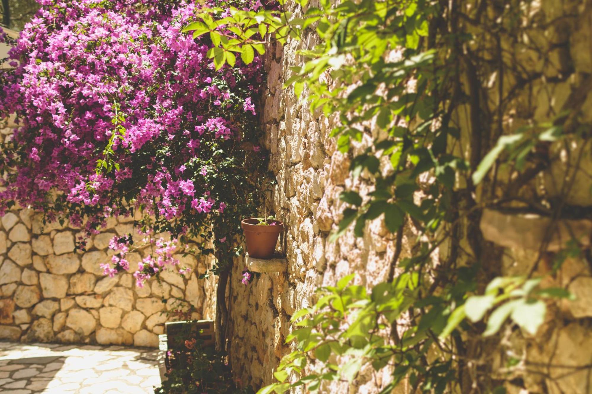 Althea Studios Lefkada Ayios Nikitas Phòng bức ảnh