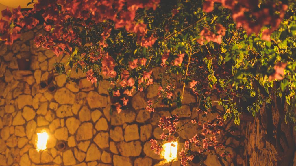 Althea Studios Lefkada Ayios Nikitas Phòng bức ảnh