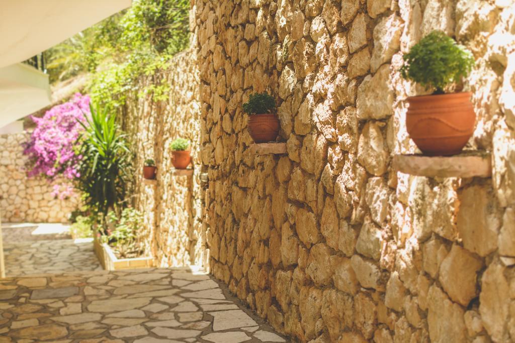 Althea Studios Lefkada Ayios Nikitas Phòng bức ảnh